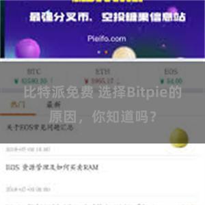 比特派免费 选择Bitpie的原因，你知道吗？