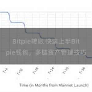 Bitpie转账 快速上手Bitpie钱包，多链资产管理技巧