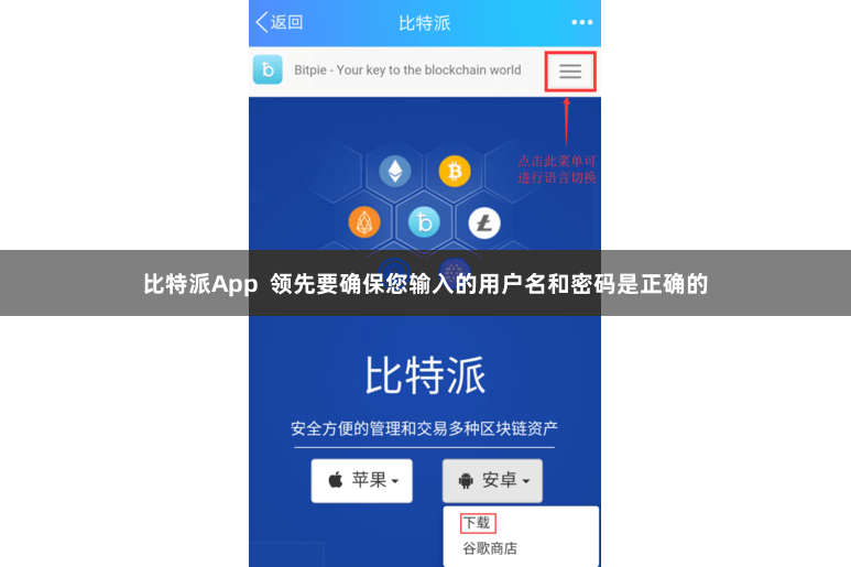 比特派App  领先要确保您输入的用户名和密码是正确的